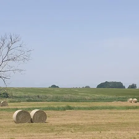 Reetidyll Ii Auf Usedom Stolpe auf Usedom