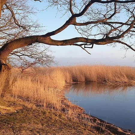 Reetidyll Ii Auf Usedom * Stolpe auf Usedom